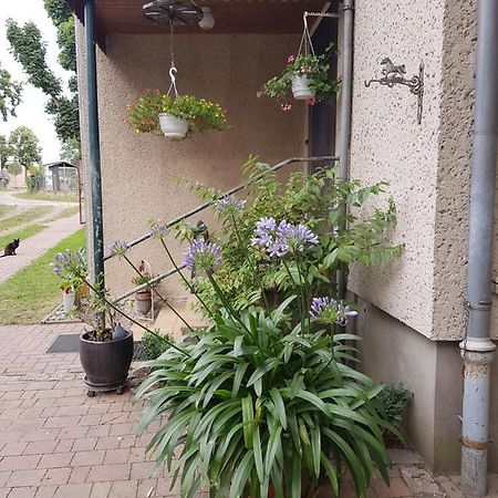 Ferienwohnung Siebmann Neuruppin Exterior photo