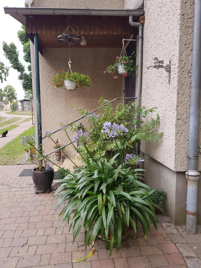 Ferienwohnung Siebmann Neuruppin Exterior photo